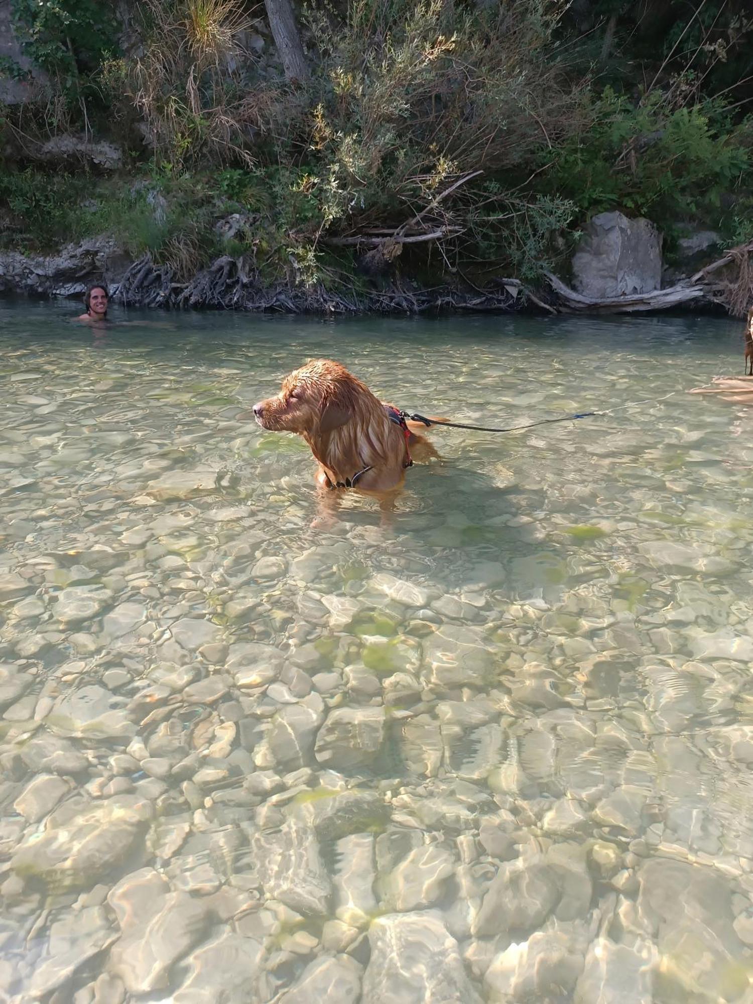 شقة Il Nido Di Matilde _Monolocale Design Sul Fiume_ Rossena المظهر الخارجي الصورة